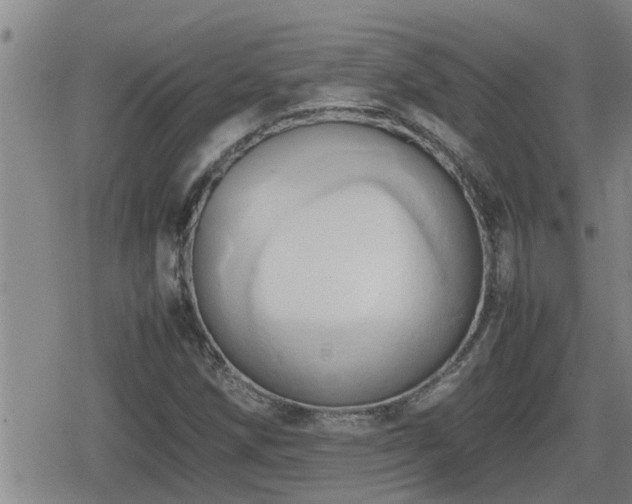 X0000080801258200612151454