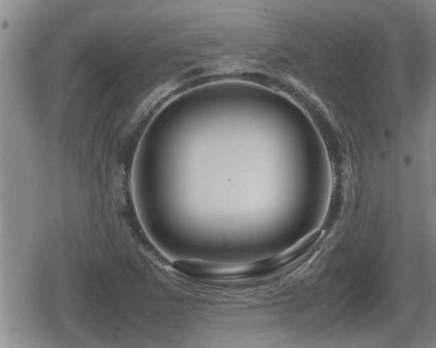 X0000080801265200612151454