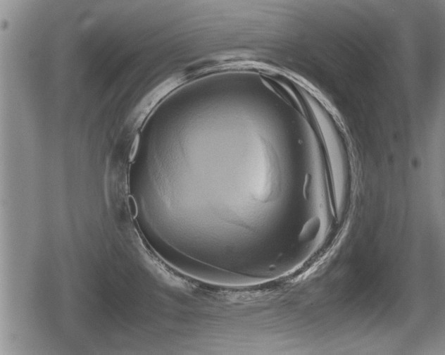X0000080801289200612151454