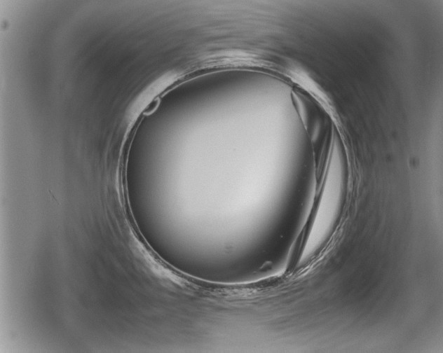X0000080801293200612151454