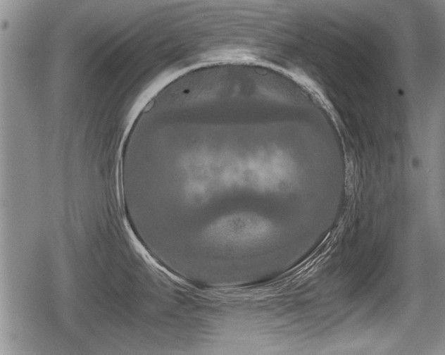 X0000080801295200612151454