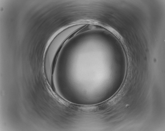 X0000080801296200612151454