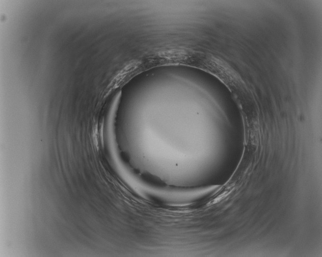 X0000080801298200612151453