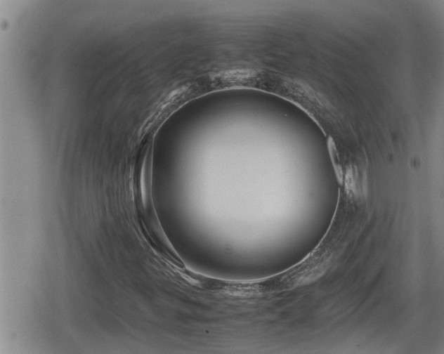X0000080801299200612151453