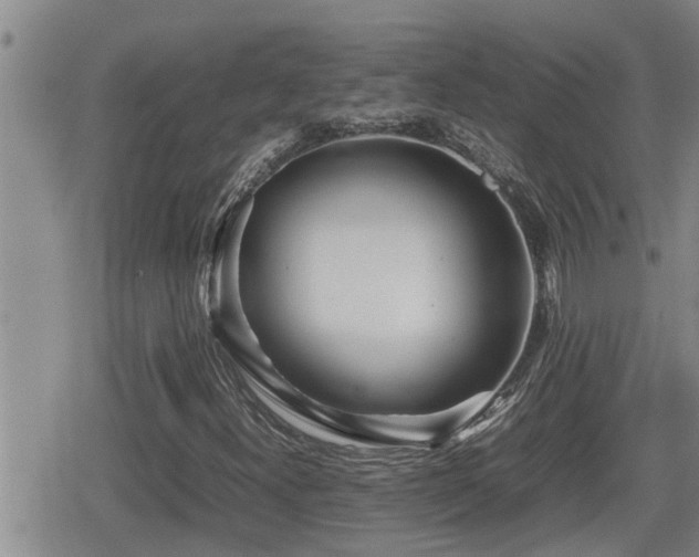 X0000080801300200612151453