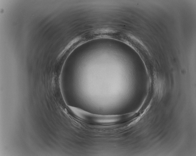 X0000080801305200612151453