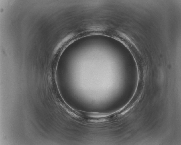 X0000080801307200612151453