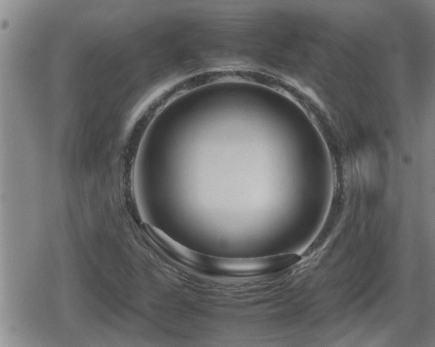 X0000080801311200612151453