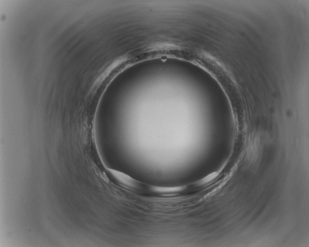 X0000080801313200612151453