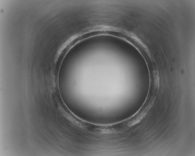 X0000080801318200612151453