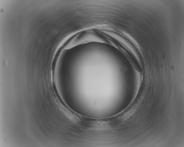 X0000080801324200612151453