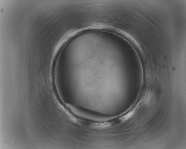 X0000080801327200612151453