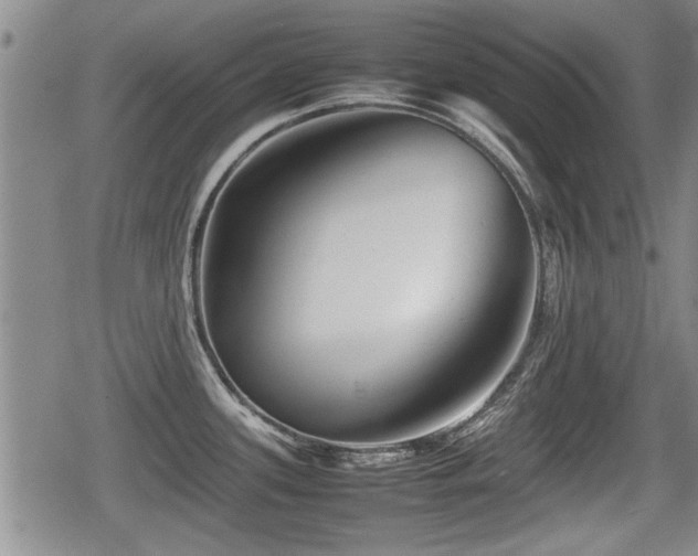 X0000080801339200612151454