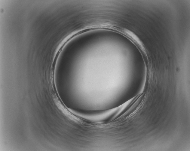 X0000080801340200612151454