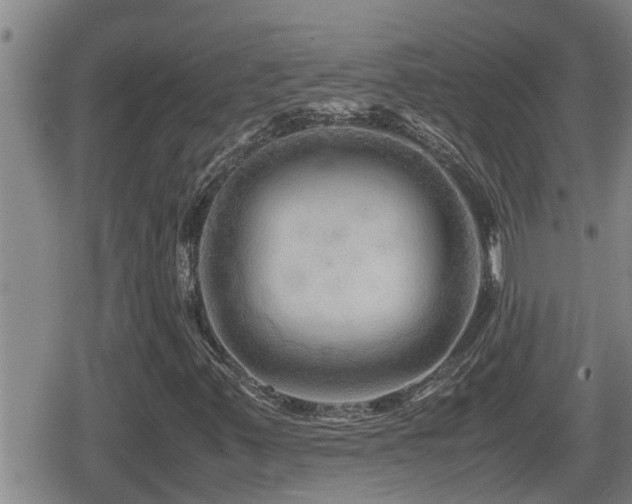X0000080801347200612151453