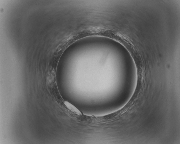 X0000080801349200612151453