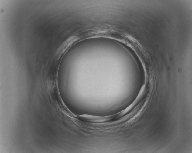 X0000080801353200612151453