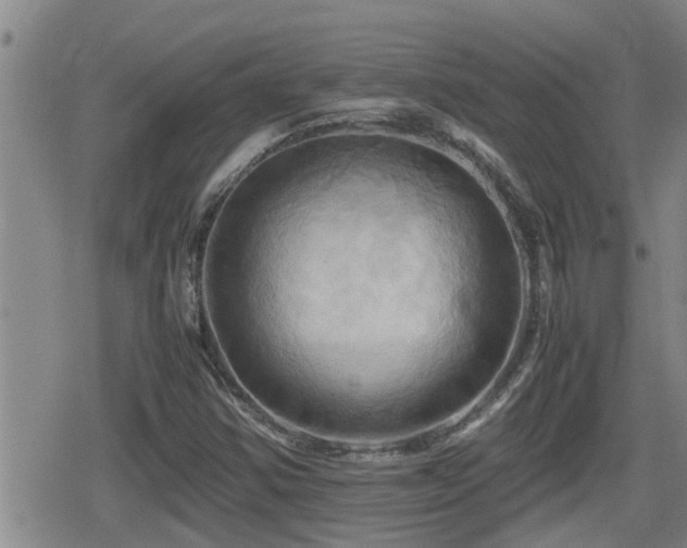 X0000080801354200612151453