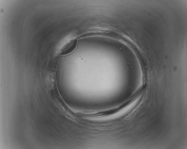 X0000080801355200612151453