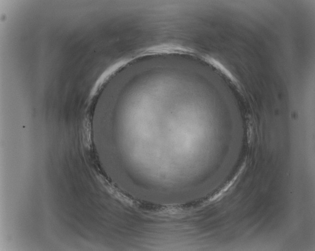 X0000080801358200612151453