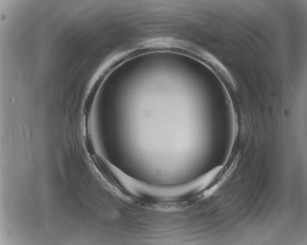 X0000080801376200612151452
