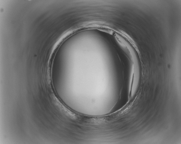 X0000080801384200612151452