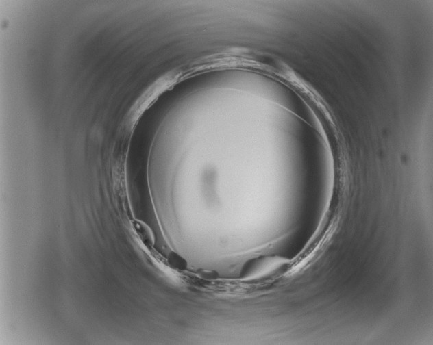 X0000080801385200612151452