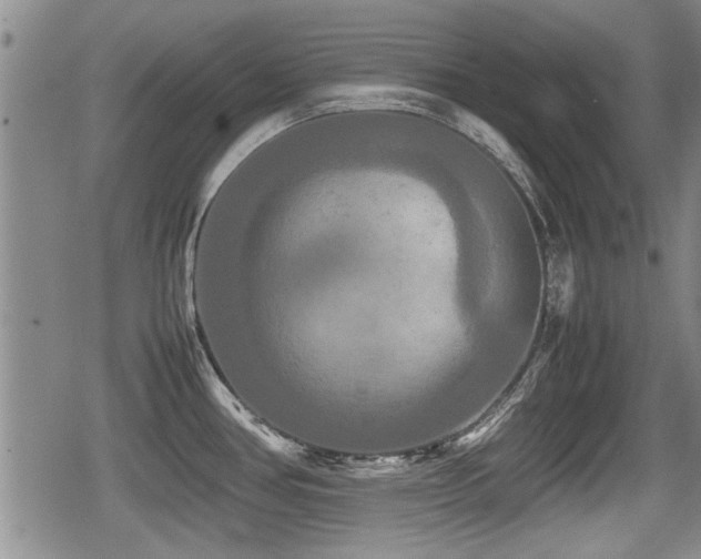 X0000080801386200612151452