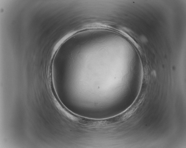 X0000080801387200612151452