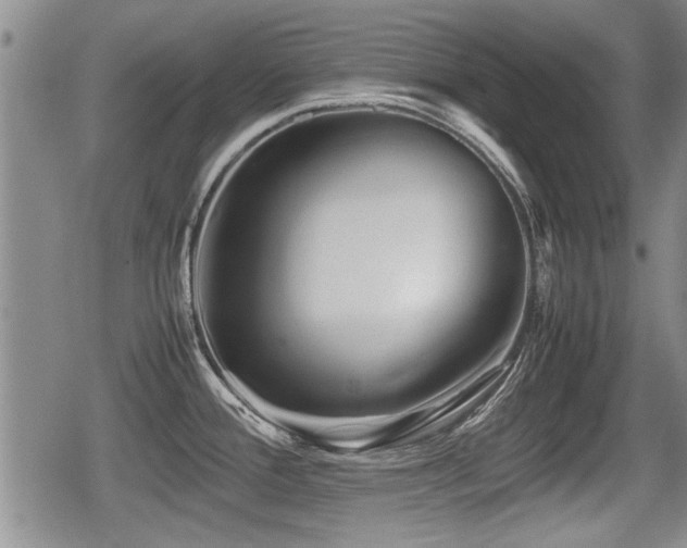 X0000080801388200612151452