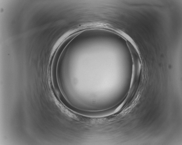X0000080801389200612151452