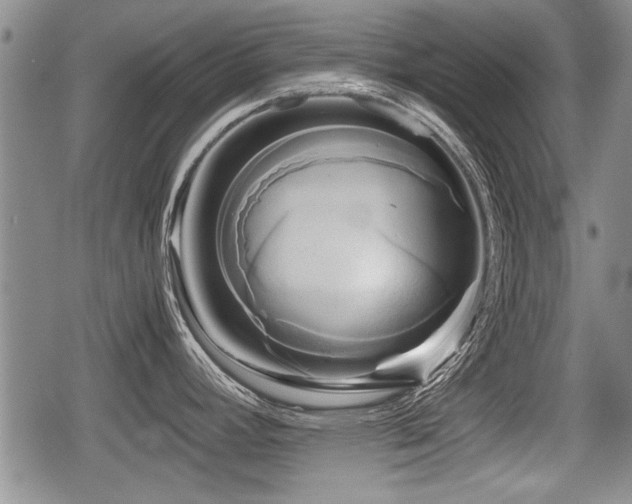 X0000080801392200612151452