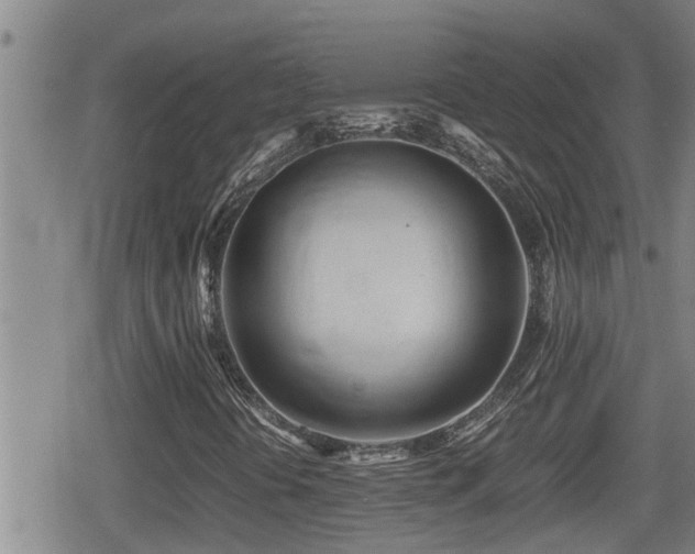 X0000080801394200612151451