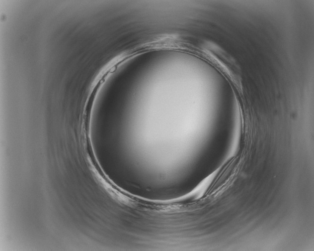 X0000080801434200612151452