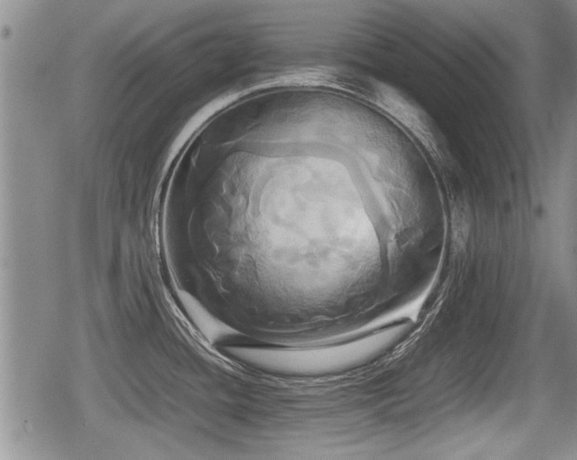 X0000080801436200612151452