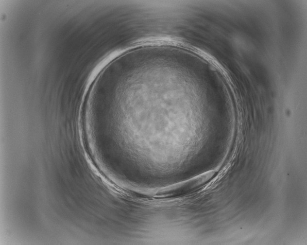X0000080801440200612151452