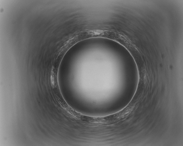 X0000080801442200612151451
