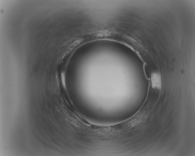 X0000080801444200612151451