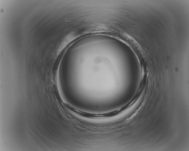 X0000080801457200612151451