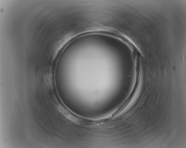 X0000080801460200612151451