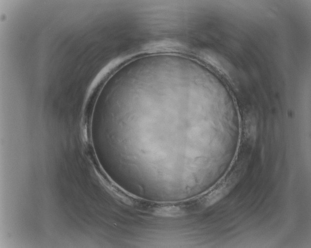 X0000080801462200612151451