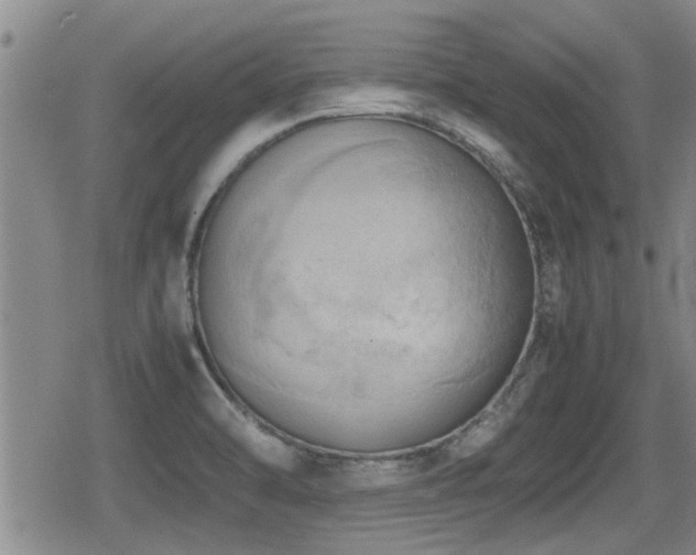 X0000080801470200612151451