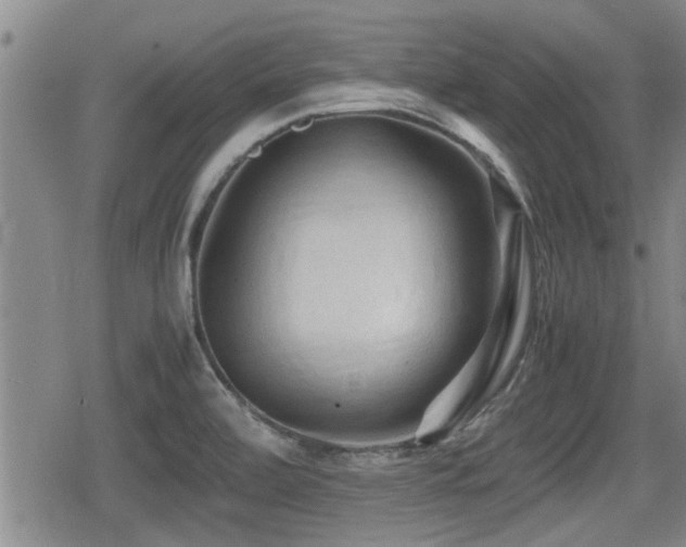 X0000080801472200612151451