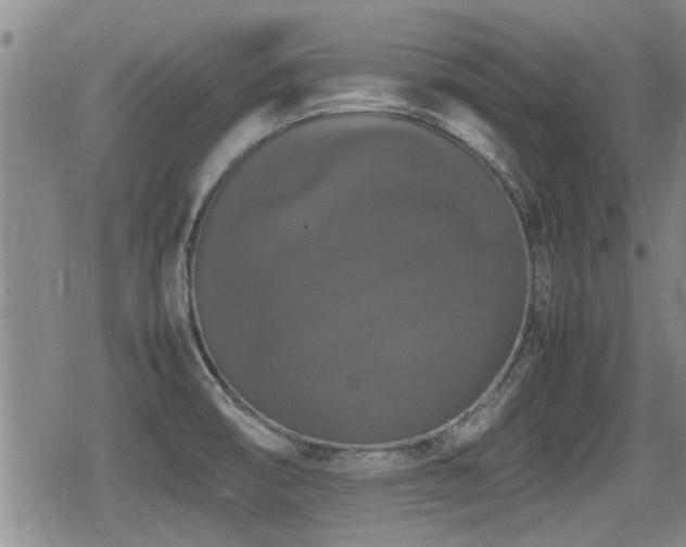 X0000080801474200612151451