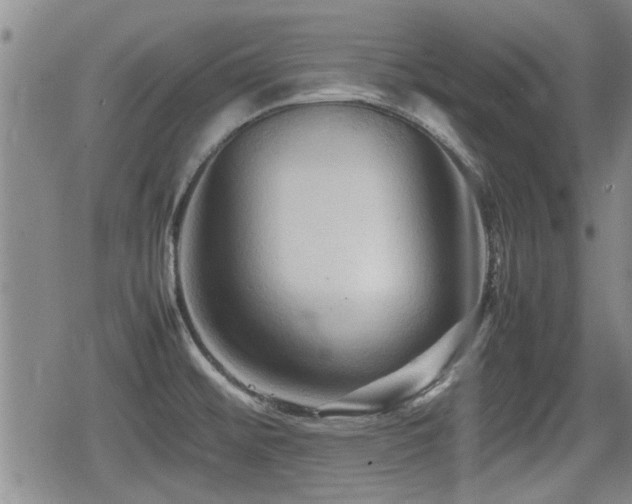 X0000080801476200612151451