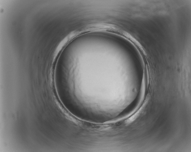 X0000080801477200612151451