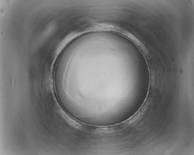 X0000080801478200612151451