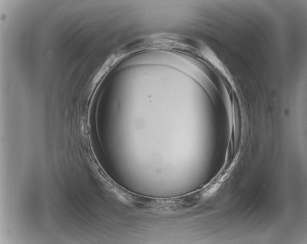 X0000080801481200612151451
