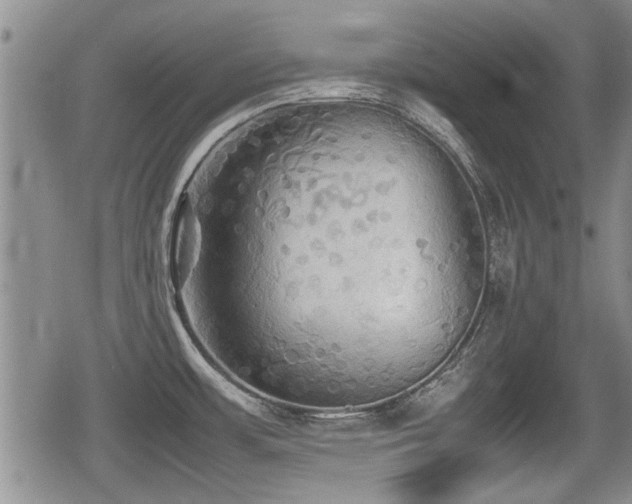 X0000080801483200612151451