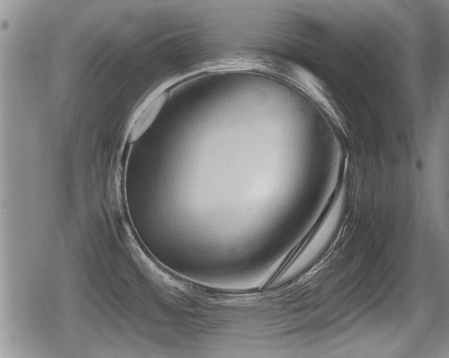 X0000080801484200612151451